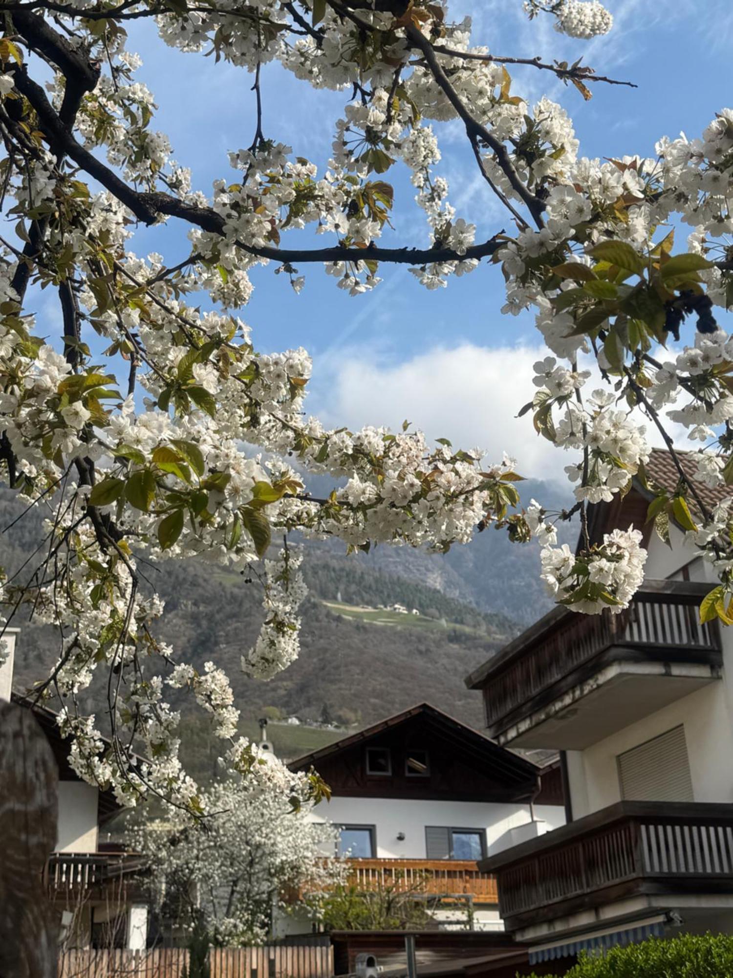 Ferienwohnung Im Zentrum Naturns Zewnętrze zdjęcie
